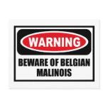 Warning BEWARE OF BELGIAN MALINOIS Postcard