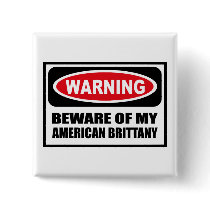 Warning BEWARE OF MY AMERICAN BRITTANY Button