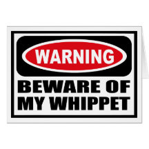 Warning BEWARE OF MY WHIPPET Greeting Card