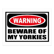 Warning BEWARE OF MY YORKIES Postcard