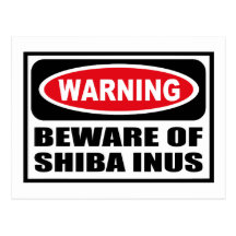 Warning BEWARE OF SHIBA INUS Postcard