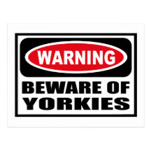 Warning BEWARE OF YORKIES Postcard