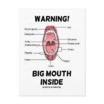 Warning! Big Mouth Inside (Oral Cavity Anatomy)