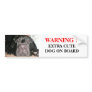 WARNING ! BUMPER STICKER