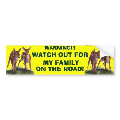WARNING!! Bumper Sticker by zazzitup