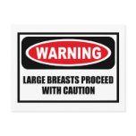 Warning LARGE BREASTS PROCEED WITH CAUTION Postcar postcards