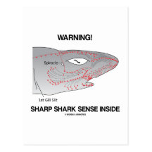 Warning! Sharp Shark Sense Inside Post Card