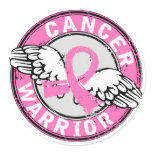 Warrior 14C Breast Cancer stickers
