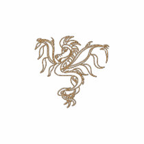 warrior dragon embroidered shirt