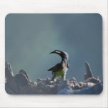 Warrior Spirit mousepads