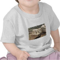Warthog Baby T-Shirt