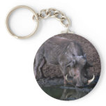 Warthog - Big Boar Keychains