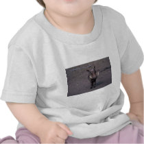 Warthog - Big Boar T-shirts