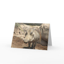 Warthog Greeting Cards