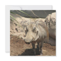 Warthog Invitations