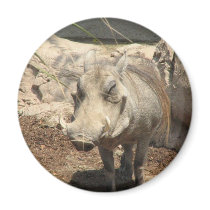 Warthog Magnet