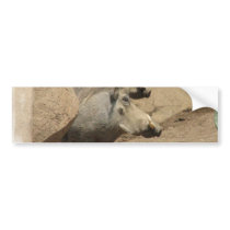 Warthog Pair Bumper Sticker