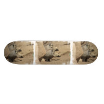 Warthog Pair Skateboard