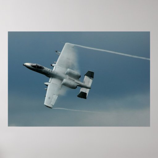 Warthog Print