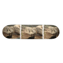 Warthog Skateboard