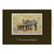 Warthog with piglets safari cards