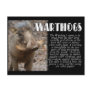 WARTHOGS with Description