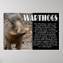 WARTHOGS with Description