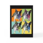 Wasabi Birthday Card