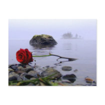 Washed Ashore Red Rose Post Card