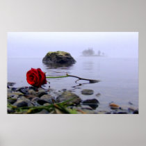 Washed Ashore Red Rose Posters