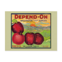Washington Apples Post Card