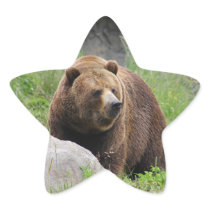 Washington Brown Bear - Sticker