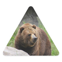Washington Brown Bear - Sticker