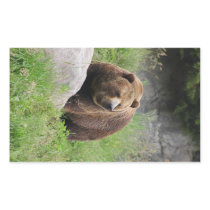 Washington Brown Bear - Sticker