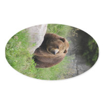 Washington Brown Bear - Sticker