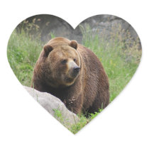 Washington Brown Bear - Sticker