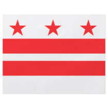 WASHINGTON D.C. FLYER