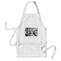 Washington DC Cherry Blossom aprons