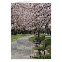 washington dc cherry blossom cards