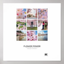 Washington, DC Flower Power Poster