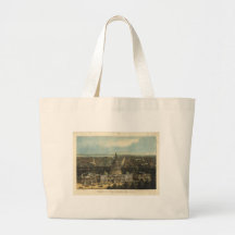 Washington DC in 1871 Bags