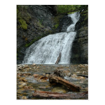 Washington/Idaho Waterfall #2 Postcard