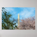Washington Monument & Cherry Blossom Festival posters