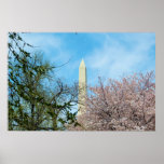 Washington Monument & Cherry Blossom Festival posters
