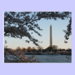 Washington Monument Postcard postcards