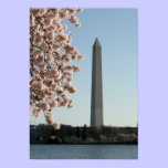 Washington Monument Poster posters