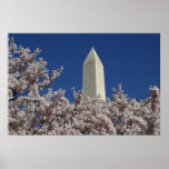 Washington Monument Spring Print