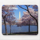 Washington Monument Through Cherry Blossoms Mousepads
