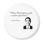 Washington needs adult supervision magnets