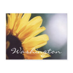 Washington Postcard Sunflower Template